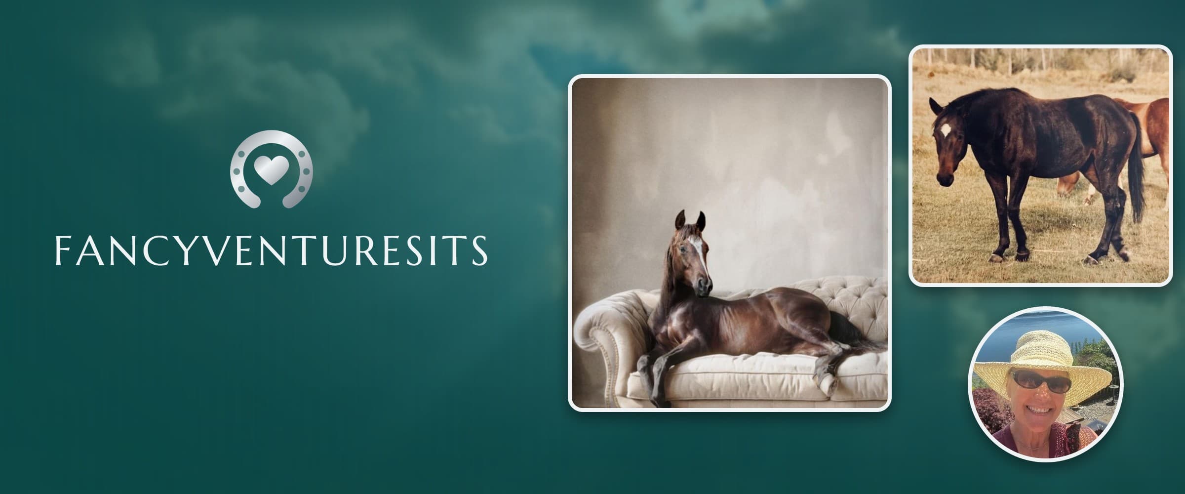 FancyVentureSits logo beside framed photos of a horse resting on a couch, the mare FancyVenture in a pasture, and founder Nancy Callahan